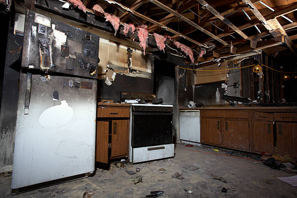 Affordable Fire Damage Removal solutions in Camden, OH